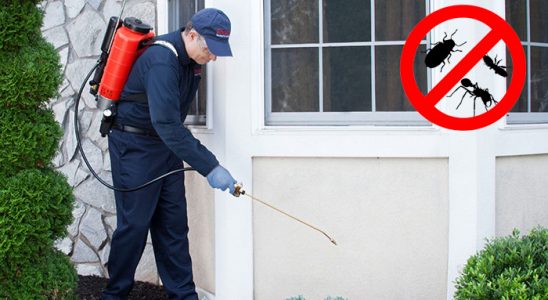 Şirinyer Böcek İlaçlama böcek ilaçlama ve haşere kontrolü — ilaclama-tr.com